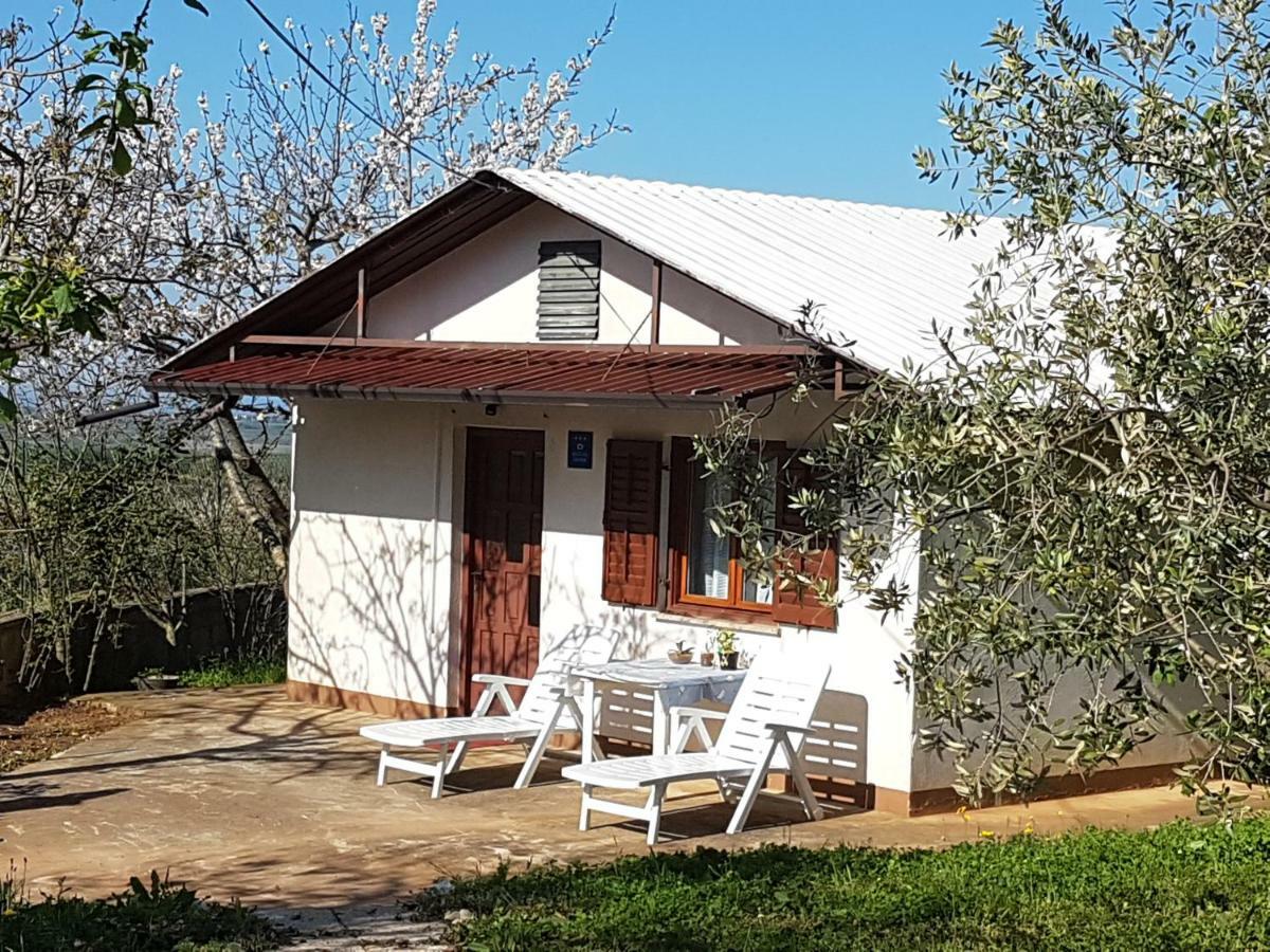 Casa Vacanze Bella Vista Višnjan Exteriör bild